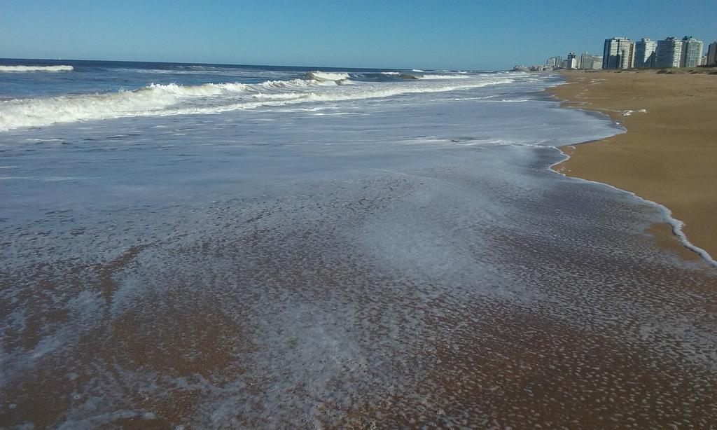Spiaggia Brava Punta Punta del Este Exteriér fotografie